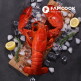 [팸쿡(식품)](롯데)(냉동)랍스타드새우선물세트1호(테일/자숙랍스타/블랙타이거)