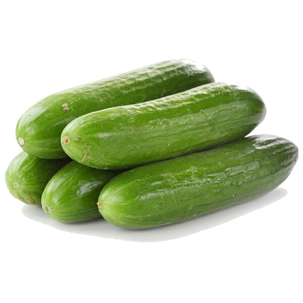 참다올 [서울만-주문당일수령하는]애호박 4개