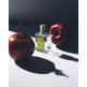 [기타][연말/집들이 선물 : 제주에서만 만나던 시리즈, 엘라이브 단독 판매!]•50ml 본품 1개(회차별 구성 중 택1) + 비자림의 아침이슬 150ml(제주 디퓨저) + 쇼핑백