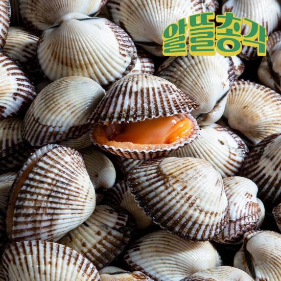 [알뜰총각][알뜰총각][특품/1kg] 벌교13번수산 당일채취 산지직송 선별 왕새꼬막(특품) 1Kg