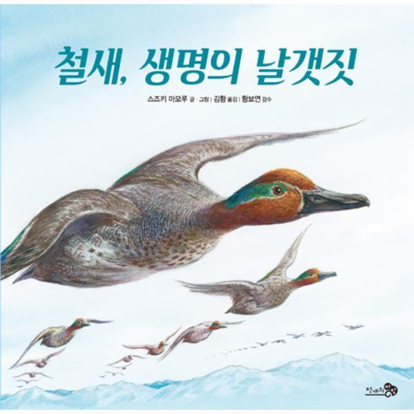 웅진북센 철새, 생명의 날갯짓