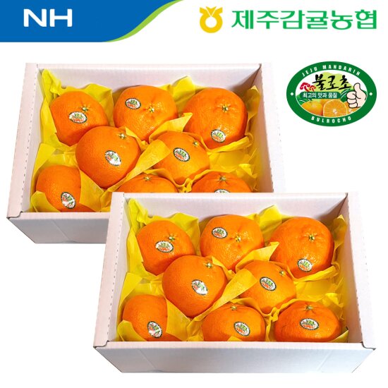 [제주] 레드향 2kg*2박스 총 4kg