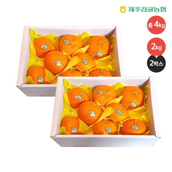 [제주] 레드향 2kg*2박스 총 4kg