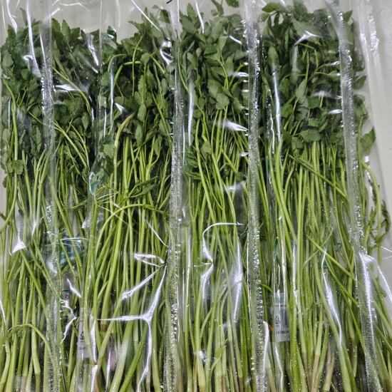 [알뜰총각][알뜰총각][2단/400g] 지하암반수 재배 특품 청도 미나리 2단(400g)