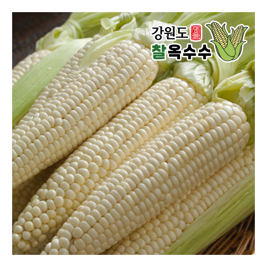 [청아굿푸드]강원도 찰옥수수 30개입(17cm 내외), 총 8kg