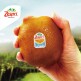 [제스프리]제스프리 골드키위 왕 슈퍼점보 사이즈 총 2.8kg (15입, 개당 180g 내외)
