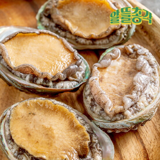[알뜰총각][알뜰총각] 완도 산지직송 참전복 1kg 18-20미(미당 50g내외)