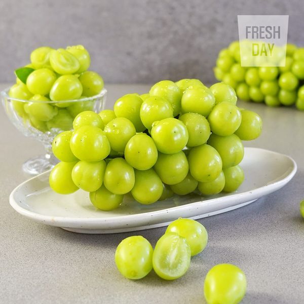 프레시데이 [하프클럽/프레시데이]국내산 프리미엄 청포도 샤인머스켓 선별정품 2kg