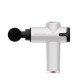 [닥터웰]닥터웰 전기 마사지건 DR-2200