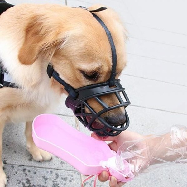 알티피아 [하프클럽/알티피아]입마개 강아지 4호 물림방지 세이프독 강아지입질 l