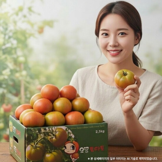 [그린퍼즐]대저토마토 2.5Kg (70)