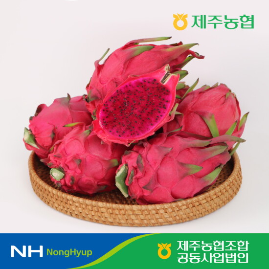 [햇살바람]제주농협 햇살바람 제주 홍용과 3kg (6-11수)