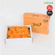 [제주 농협] 귤로장생 레드향 2kg * 2박스 (개당중량 150-300g / 박스당 7-13개입)     