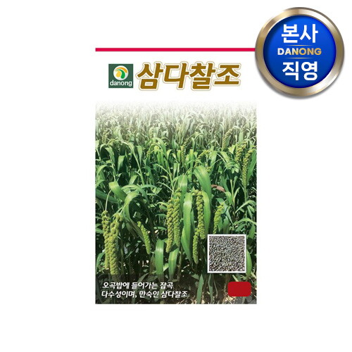 농업기술실용화재단 다농 삼다찰 (차)조 씨앗 1kg . 야채 채소 텃밭 파종 재배 주말 농장 씨 종자