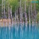 [참좋은여행][상담예약] 참좋은여행 북해도 4일 패키지