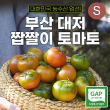 대저 짭짤이 토마토 2.5kg (S)