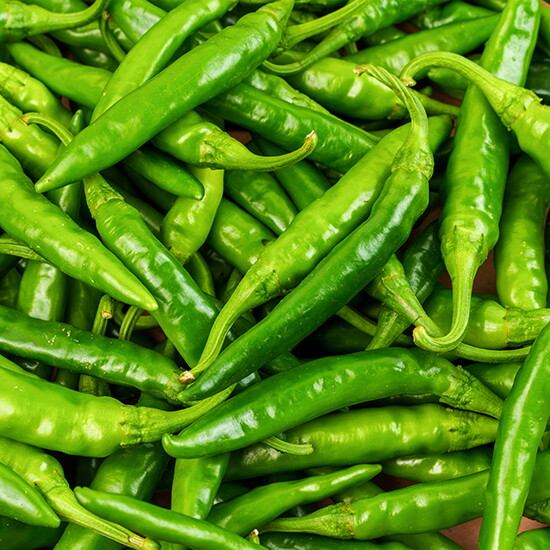 전라도청년 [전라도청년] 품질보장 프레시 국내산 매운 청양고추 특 1kg