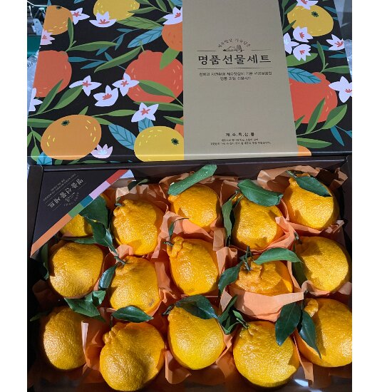 [제주 직송] 제주 한라봉 고당도 프리미엄 가정용 박스포장 10kg