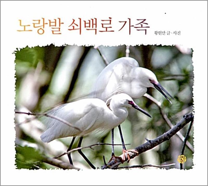 소년한길 온누리북스 [온누리북스] 노랑발 쇠백로 가족 (어린이를 위한 사진 동화)