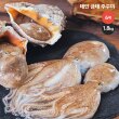 [산지직송!] 태안 금테 쭈꾸미 300g*6팩, 총1.8kg