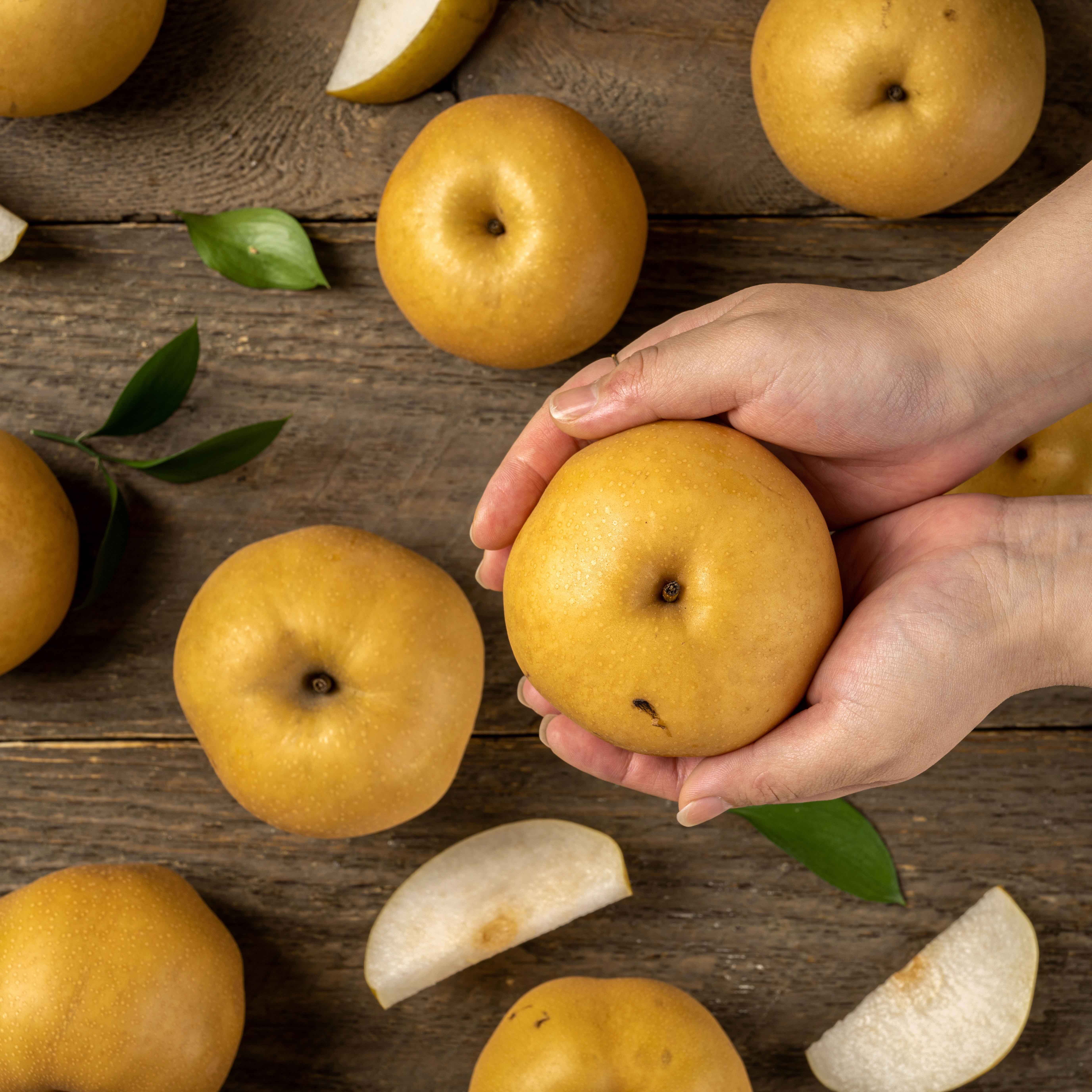 농업회사법인 주식회사 더자인 더자인 [특가] 국내산 시원한 가정용 햇 배 5kg 소과 (14-18과내외)