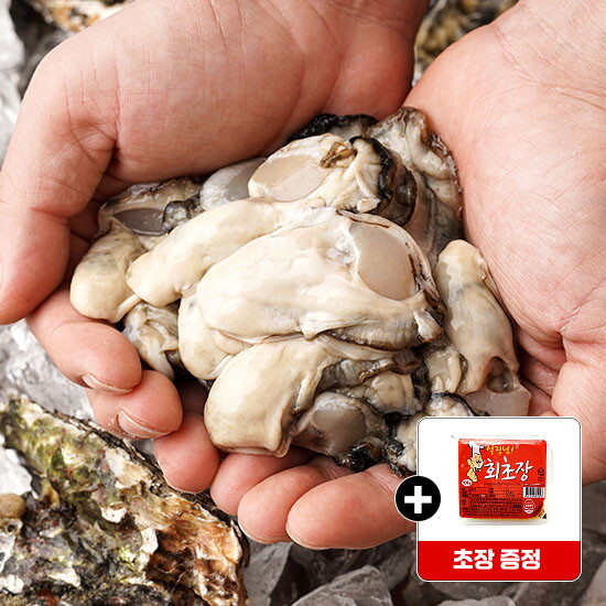 올바른푸드 물맛남 산지직송 국내산 신선한 통영 햇 생굴 2kg 초장포함
