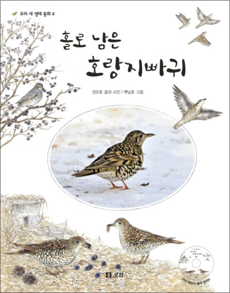 보리 제이북스 [제이북스] 홀로 남은 호랑지빠귀 (CD1장포함)