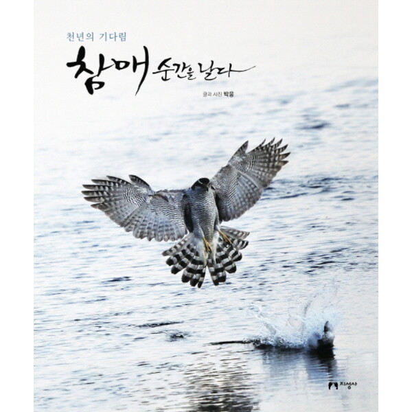 지성사 천년의 기다림 참매 순간을 날다 : [양장]