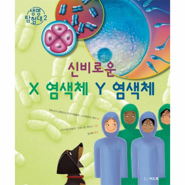 피오르드 신비로운 X 염색체 Y 염색체