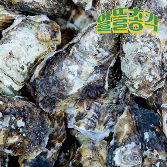 [알뜰총각][알뜰총각] 고흥 산지직송 석화 각굴 4kg
