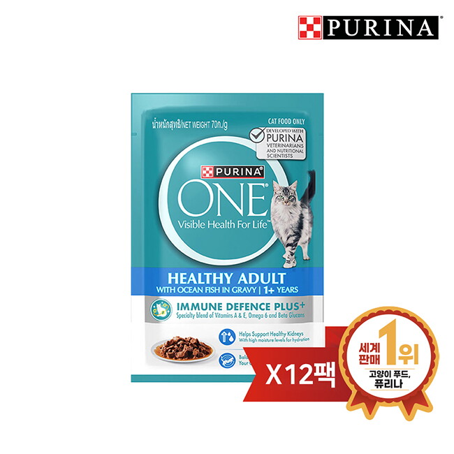 브이펫 원 캣 습식 파우치 청정바다생선맛 70g 12팩