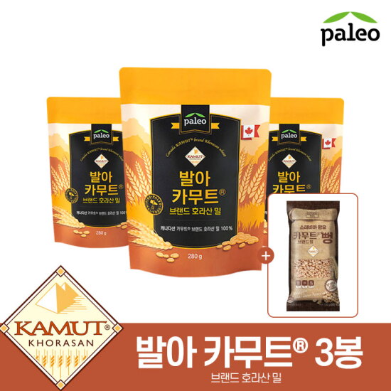 [팔레오]★엘라이브 단독★팔레오 발아 카무트® 브랜드밀 호라산밀 3팩+카무트® 브랜드밀 뻥 1봉