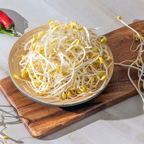 전남생협 국내산콩으로 키운 무농약 콩나물 1kg