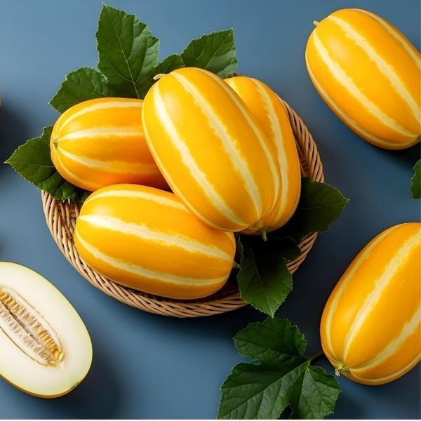 제주감귤마을 [하프클럽/신선식품]정품 성주 꿀 참외 10kg 소과