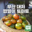 [토마토스토리] 부산 대저 짭짤이 토마토 2.5kg(S)
