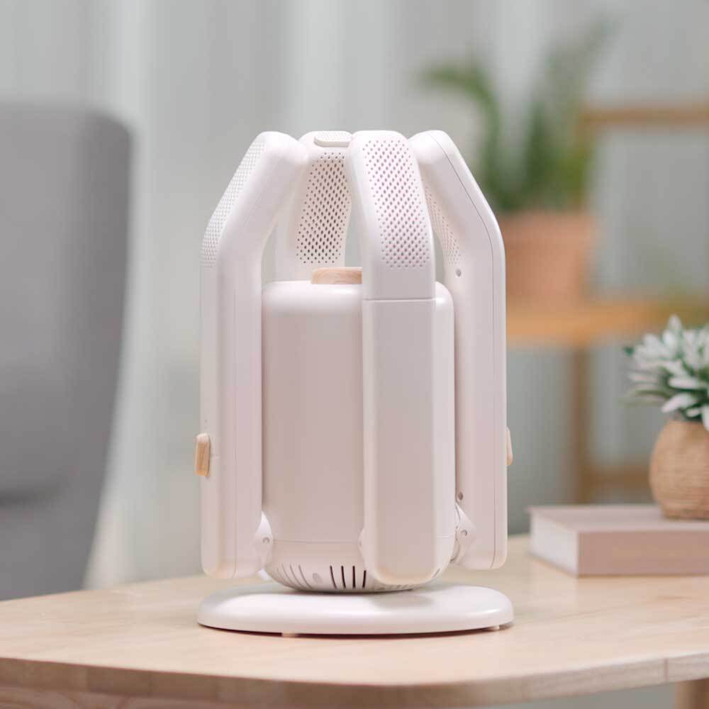 슈즈 스타일러 사하라