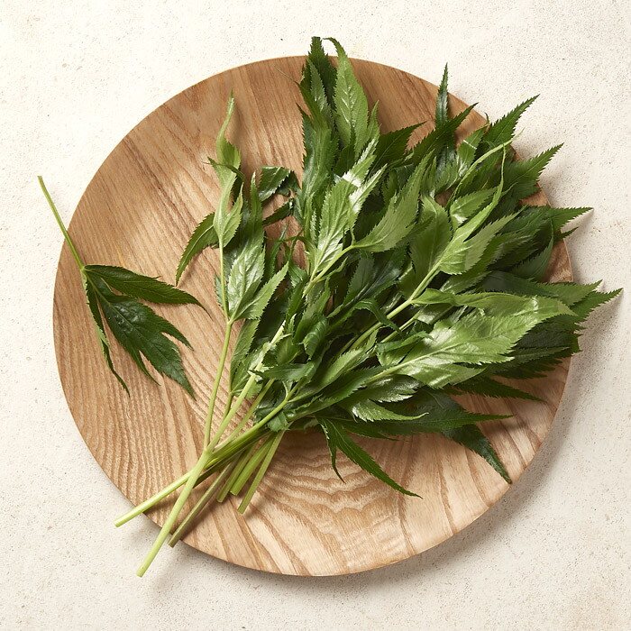 우리가락 [새벽배송][우리가락]당귀잎 100g