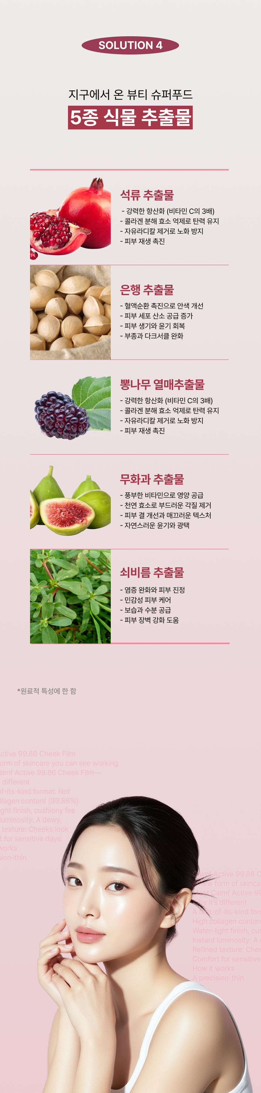 미스트8