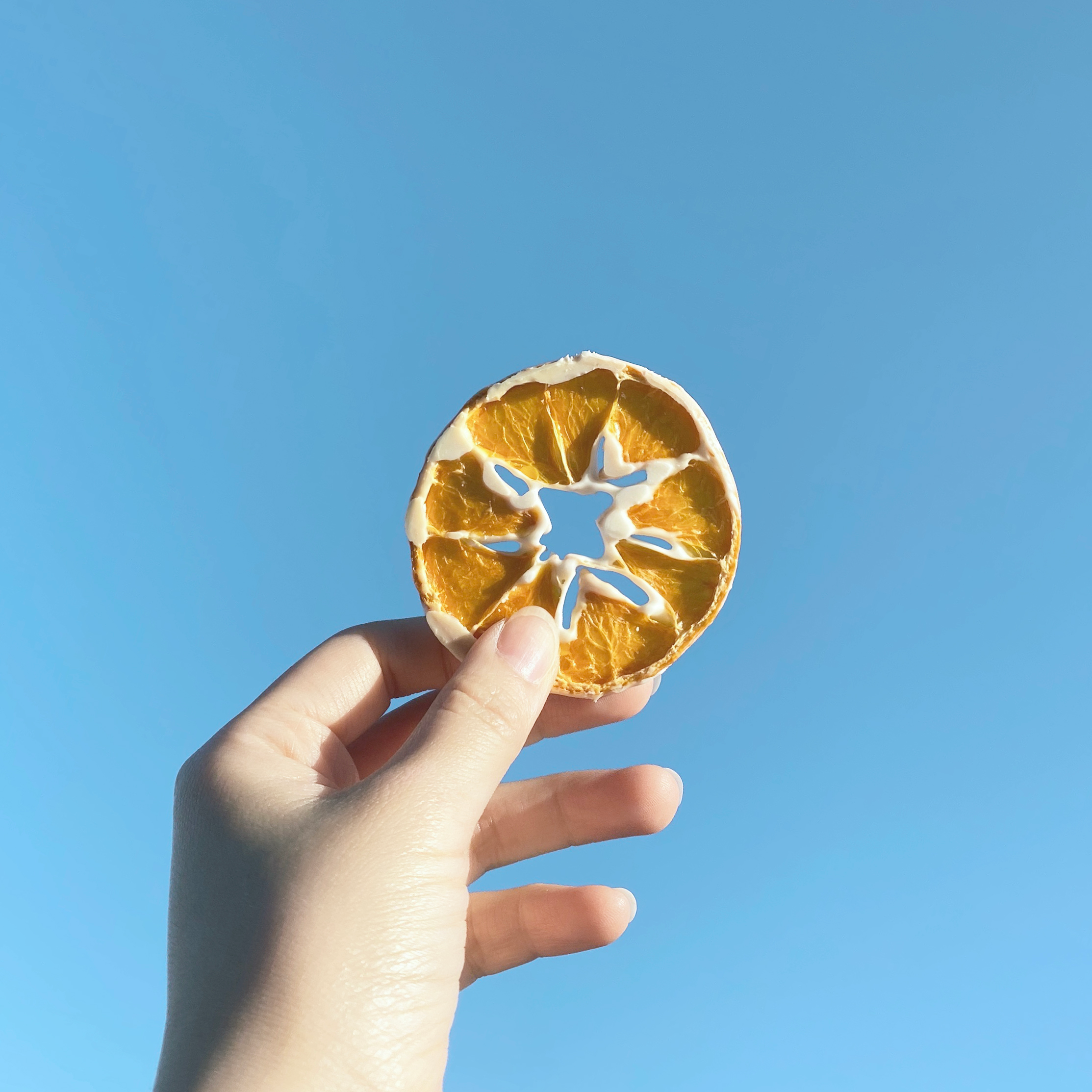 JBmkt_shop_garnish_7