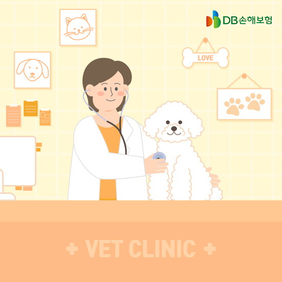 [디비손보]팻블리 반려견 보험