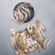 [꽃게1kg+새우500g] 2-3인용 딱먹기좋은 제철 활꽃새세트 꽃게1kg(3미내외) + 새우500g(17미내외)