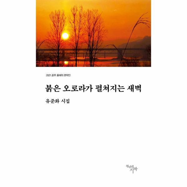 빅북 붉은 오로라가 펼쳐지는 새벽 : 2021 공주 올해의 문학인