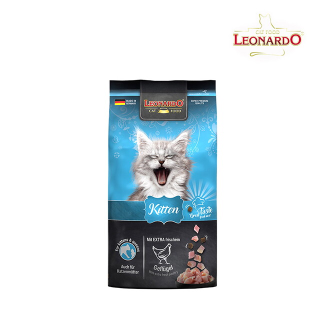 브이펫 레오나르도 키튼 1.8kg(리뉴얼) + 물티슈1팩