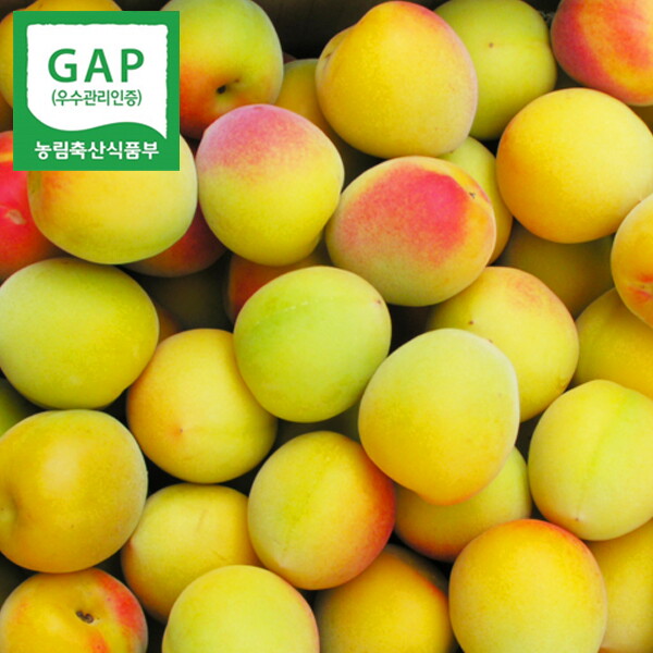 두레청과 참다올 [6월초출고]매실본고장-하동황매실 10kg(대)