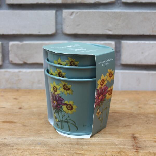 아트박스 아트박스/그린무어 버건앤볼 화분 세트 Asteraceae Herb Pots