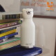 [아소부]캐나다 아소부 진공스텐 보온보냉 캐릭터 텀블러 베스티 460ml