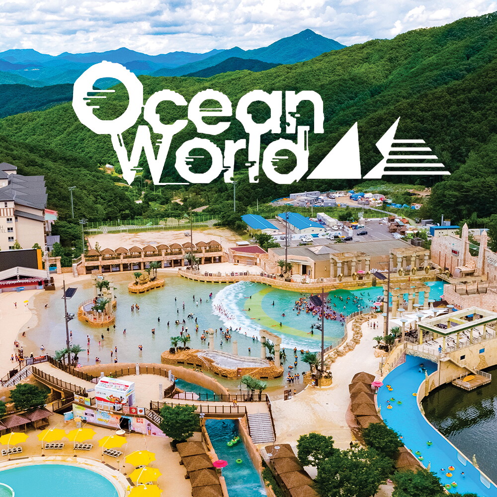 (주)맥스모바일 소노호텔앤리조트 [문자발송] 홍천 비발디파크 오션월드 입장권 (종일권+살내락카+이지패스) 대명리조트 워터파크 평일 소인권 기준