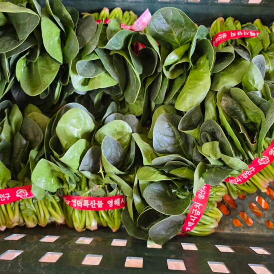 [알뜰총각][알뜰총각][4단] 국내산 포항 영해초 단 시금치 4단(1.2kg 내외)