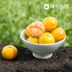 [귤로장생]제주농협 귤로장생 하우스감귤 2.5kg 중대과