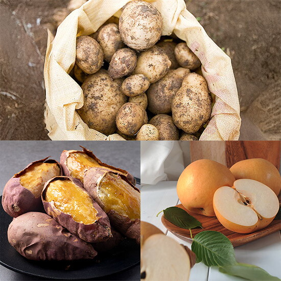 푸르젠 [태음인]추천음식! 체온을 높히고 대사 활성화에 도움을 주는 채소/솨일 모음전 (감자/고구마/배/복숭아 등)